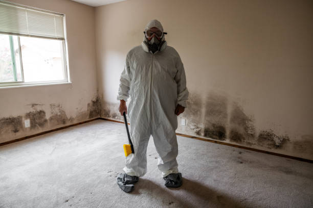 Best Toxic Mold Removal  in Eddystone, PA